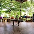 the fives beach hotel and residences all senses inclusive