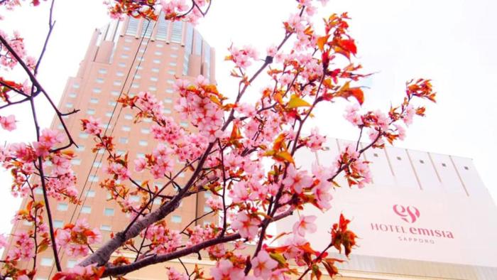 hotel emisia sapporo