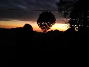 mount aura stay and dine