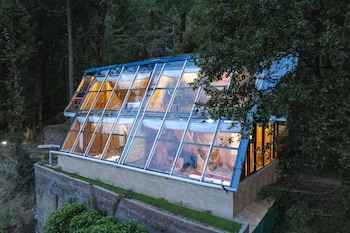 echor treehouse retreat tandi jibhi