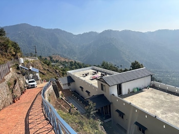 serene forest resort