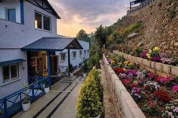 serene forest resort