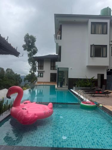 yasa retreat gangtok