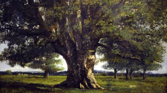 hotel restaurant le champs des lys