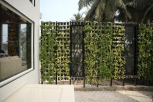 green view suites
