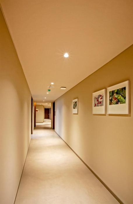 purple elephant luxury business hotel
