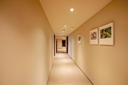 purple elephant luxury business hotel