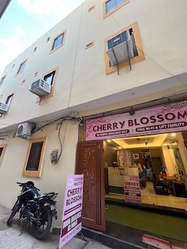 hotel cherry blossom