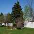 longueuil