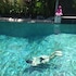 arjuna homestay