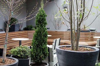 freepoint hotel cambridge tapestry collection by hilton