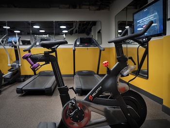 freepoint hotel cambridge tapestry collection by hilton