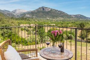 finca son ametler