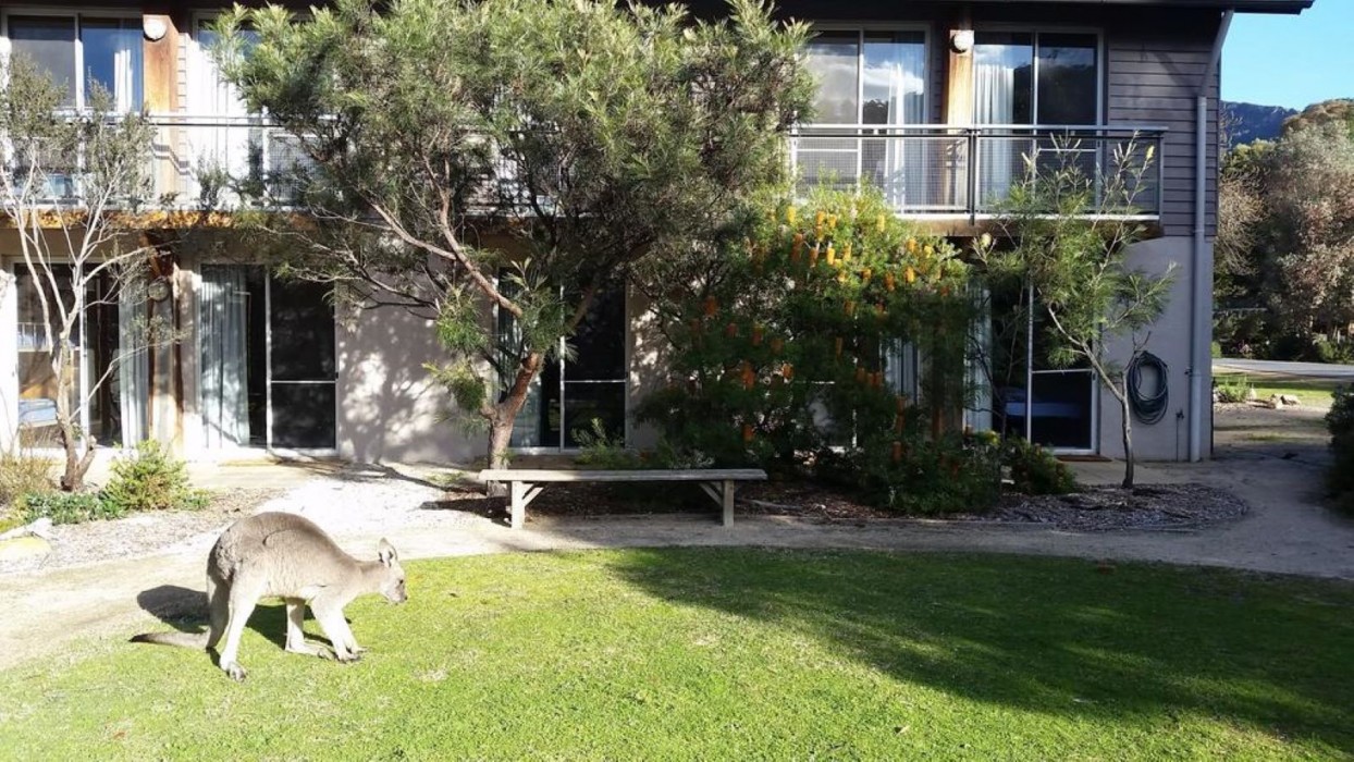 Yha Grampians Eco Halls Gap,Halls Gap>>Grampians,1 star