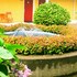 guesthouse enumclaw