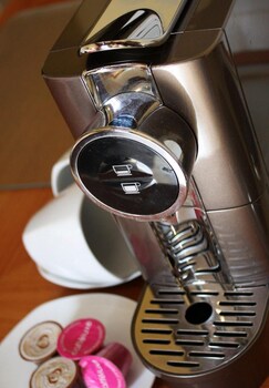 daddy long legs art hotel