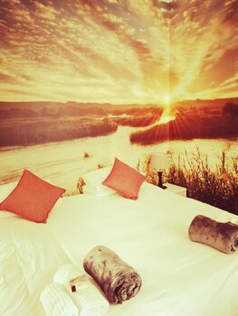 daddy long legs art hotel