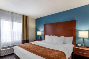 comfort inn and suites lees summit kansas city