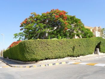 marina village north coast