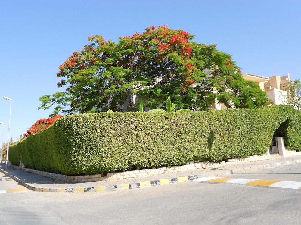 marina village north coast