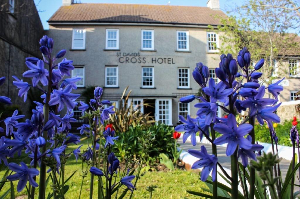 st davids cross hotel