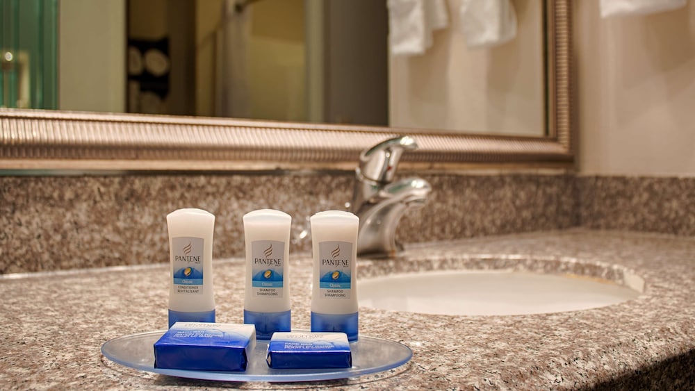 best western plus ohare international south hotel