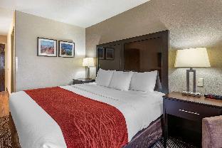 comfort inn and suites
