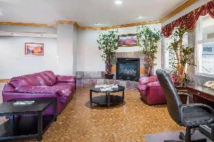 comfort inn and suites