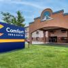 comfort inn and suites