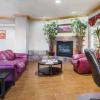 comfort inn and suites