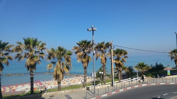bat yam