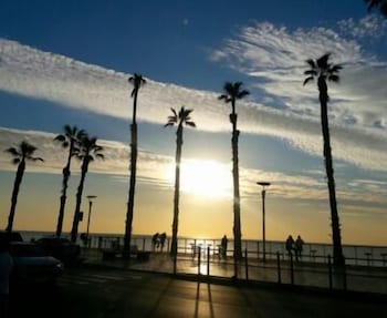 bat yam