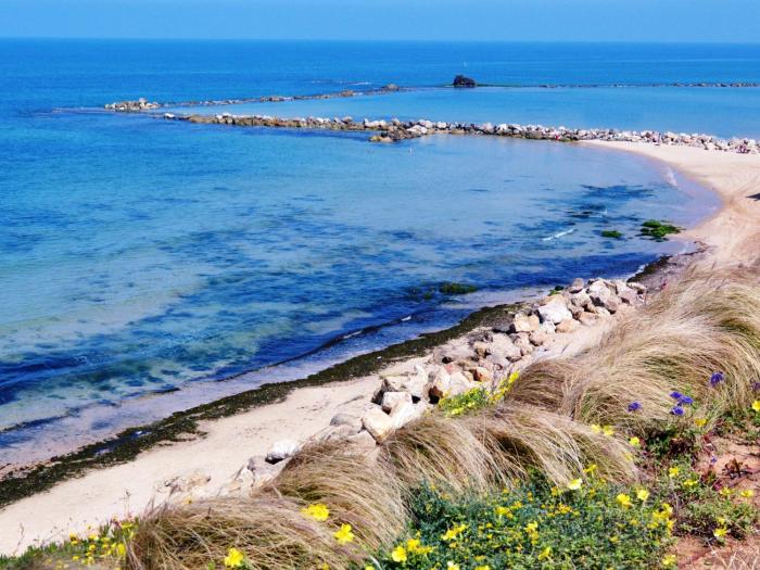 bat yam