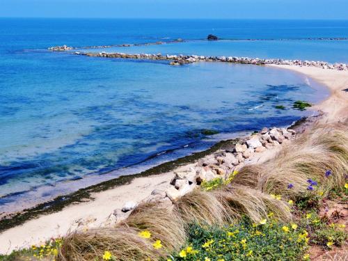 bat yam