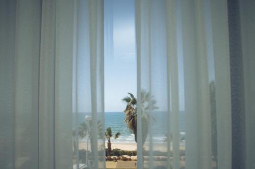 bat yam