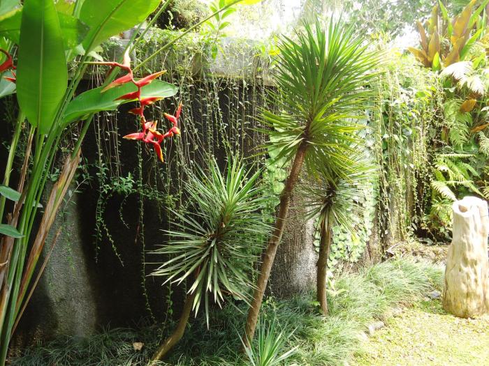 labak river hotel by eps