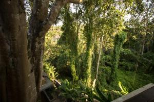 labak river hotel by eps