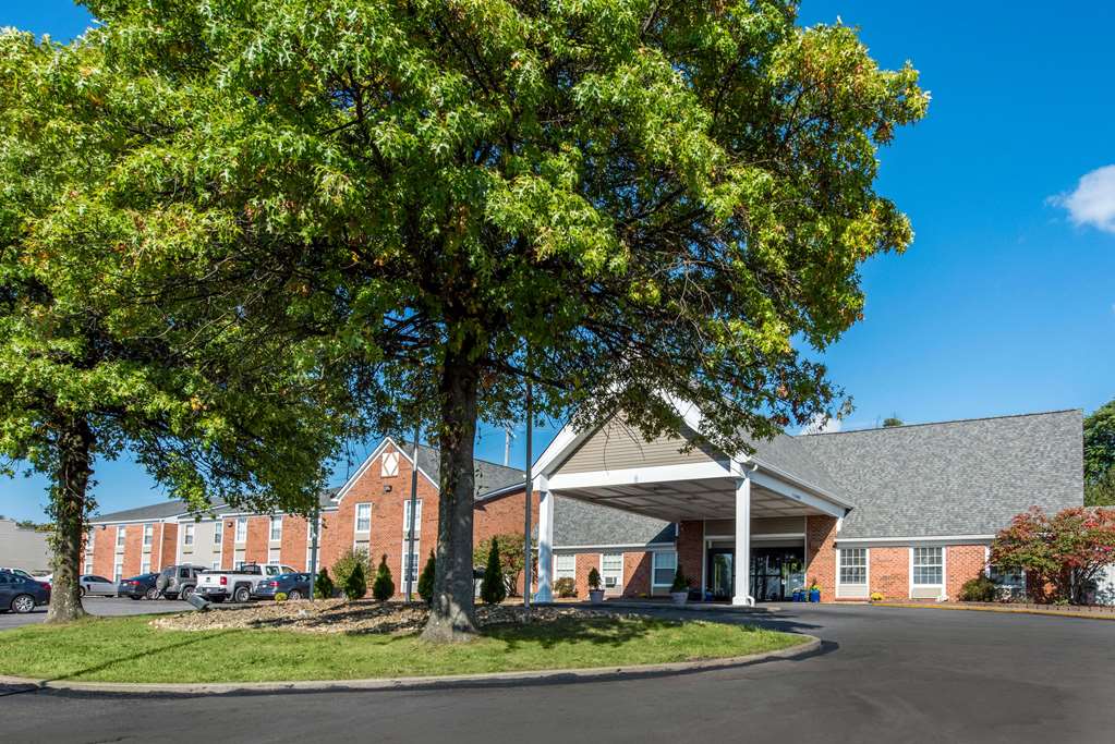 quality inn