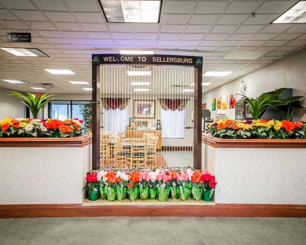 quality inn and suites