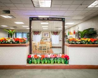 quality inn and suites