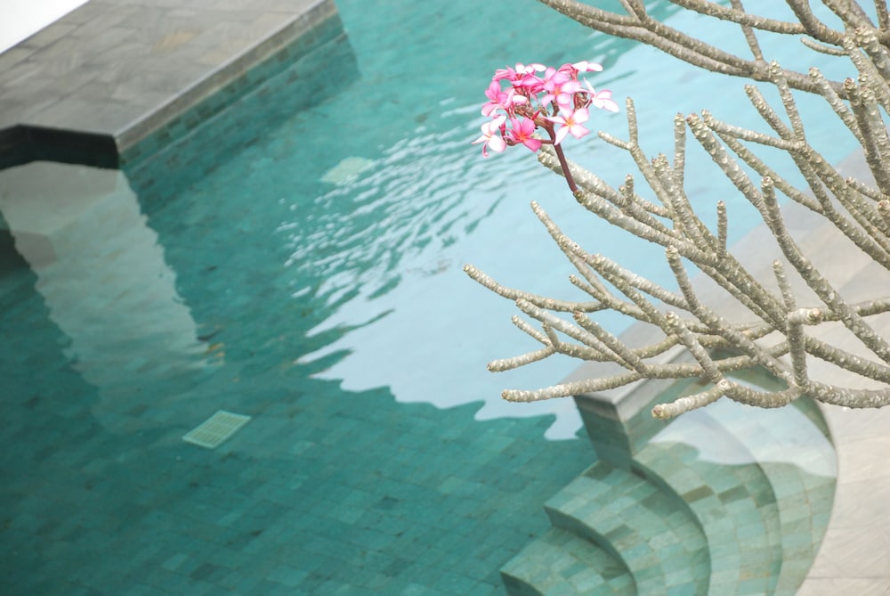 el hotel malang