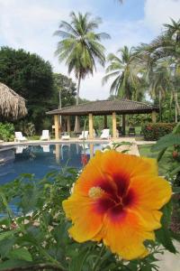 hotel delfin playa bejuco