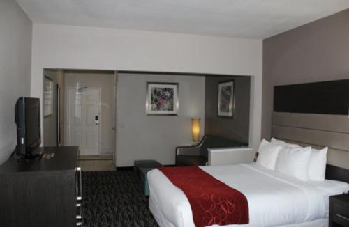 comfort suites lewisville