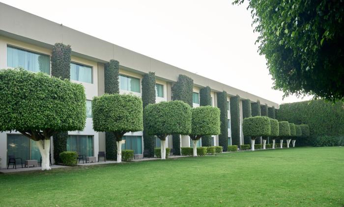 hotel estancia business class