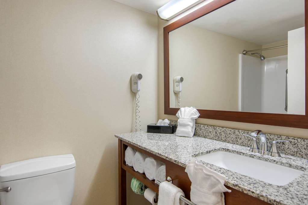 comfort inn chester richmond south