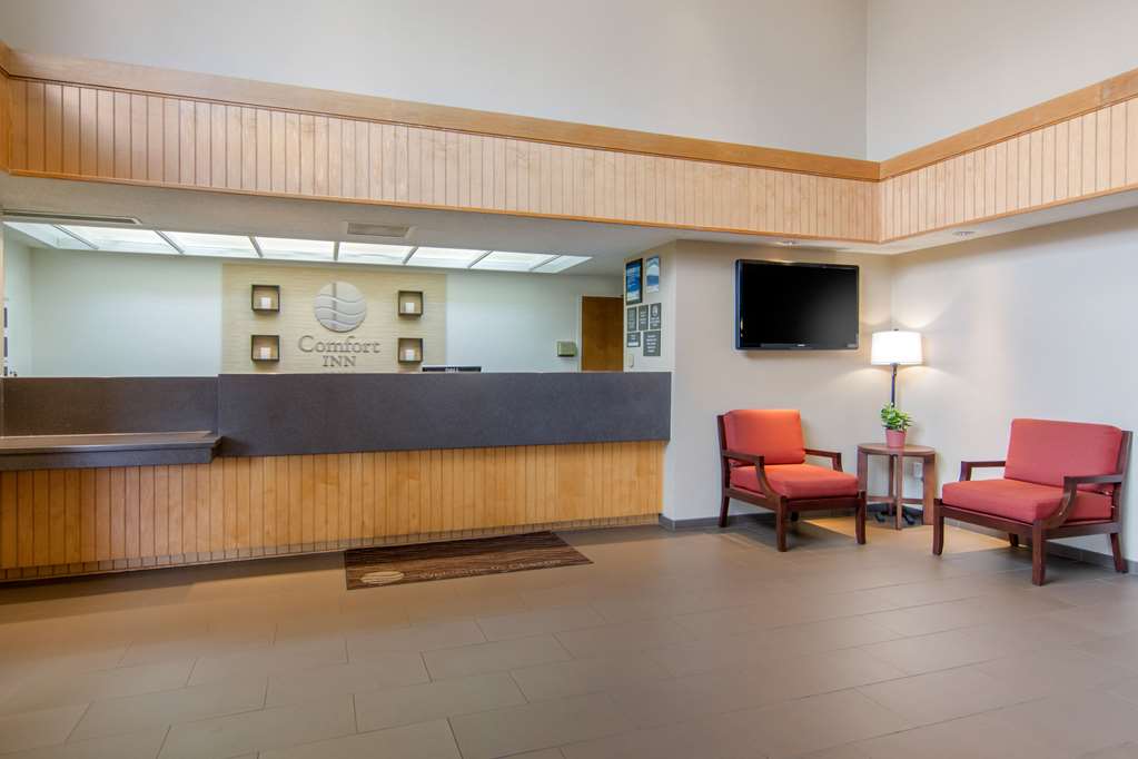 comfort inn chester richmond south