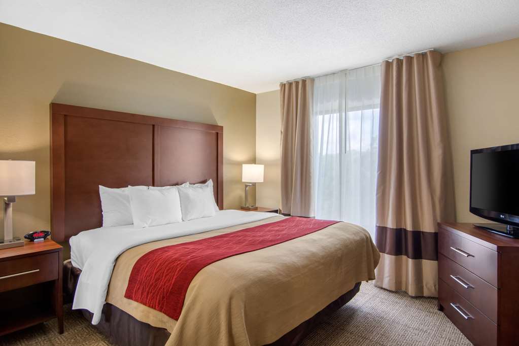 comfort inn chester richmond south