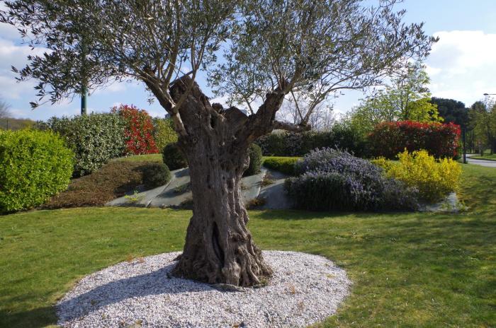 hotel restaurant bel air