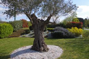 hotel restaurant bel air