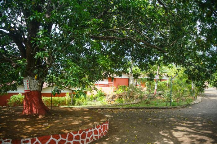 nature trails kundalika kolad